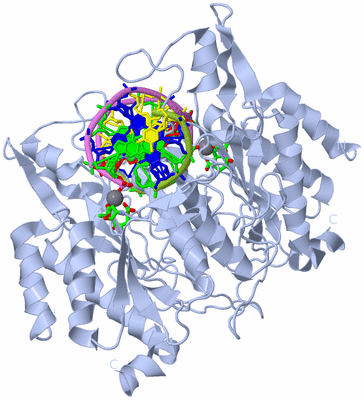 Image Biol. Unit 1 - sites