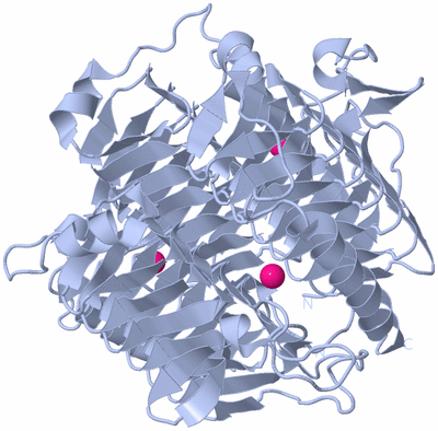 Image Biological Unit 1