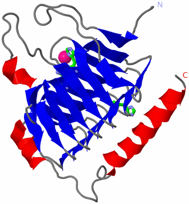 Image Asym. Unit - sites