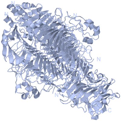 Image Biological Unit 1