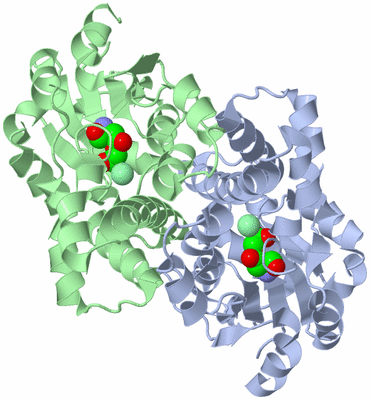 Image Asym./Biol. Unit