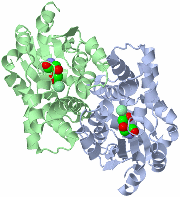 Image Asym./Biol. Unit