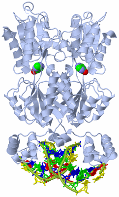 Image Biological Unit 1