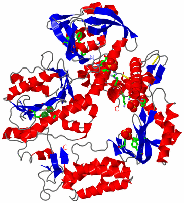 Image Asym./Biol. Unit - sites