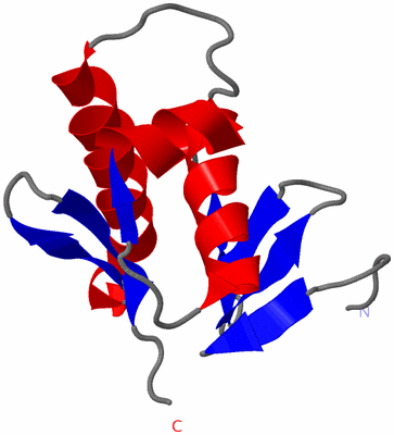 Image NMR Structure - model 1