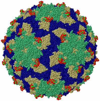 Image Biological Unit 1