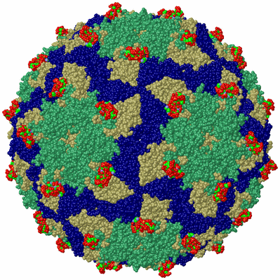 Image Biol. Unit 1 - sites