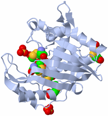 Image Biological Unit 1