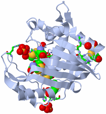 Image Biol. Unit 1 - sites