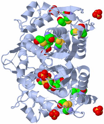 Image Biological Unit 2