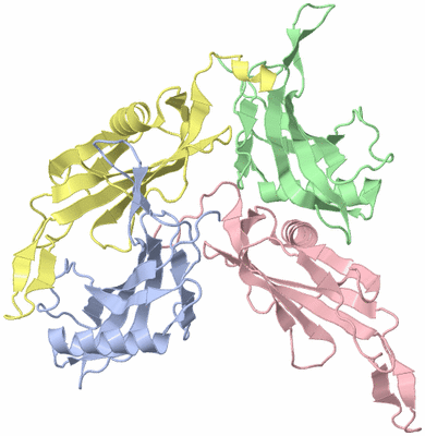 Image Asymmetric Unit