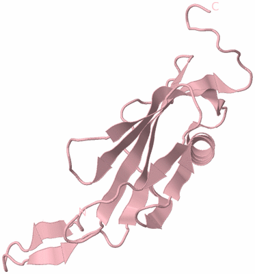 Image Biological Unit 3