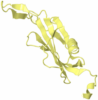 Image Biological Unit 4