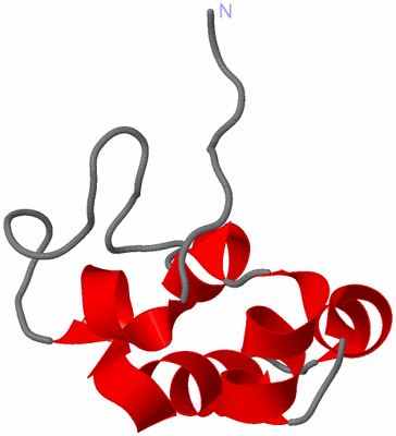 Image NMR Structure - model 1