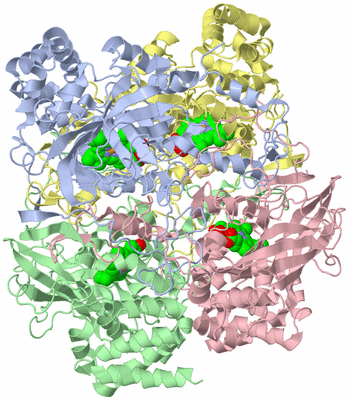 Image Asym./Biol. Unit