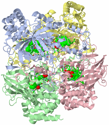 Image Asym./Biol. Unit - sites