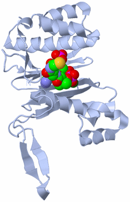 Image Biological Unit 1