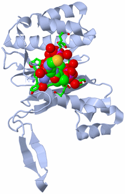 Image Biol. Unit 1 - sites