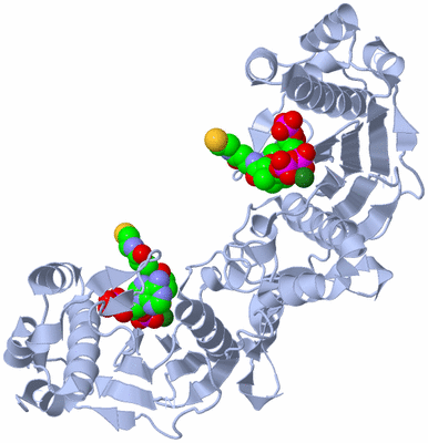 Image Biological Unit 2