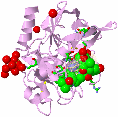 Image Asym./Biol. Unit - sites