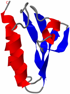 Image NMR Structure - model 1