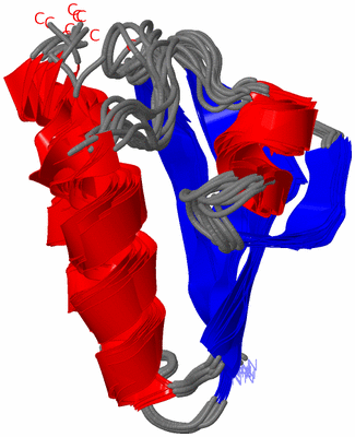 Image NMR Structure - all models