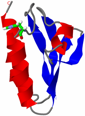 Image NMR Structure - model 1, sites