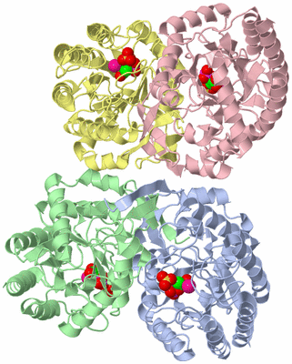 Image Asym./Biol. Unit