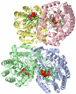 Image Asym./Biol. Unit - sites