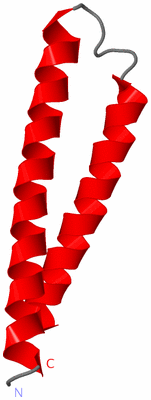 Image Asymmetric Unit