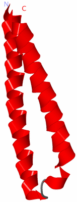 Image Asymmetric Unit