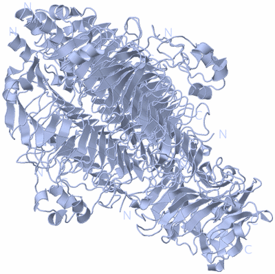 Image Biological Unit 1