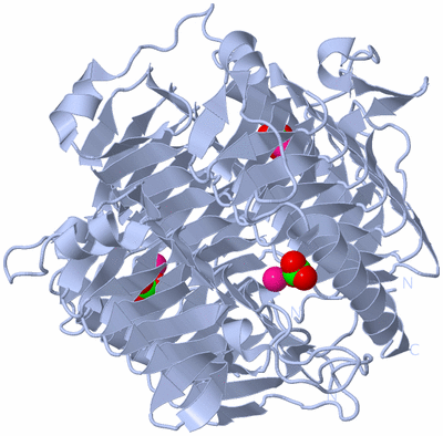 Image Biological Unit 1