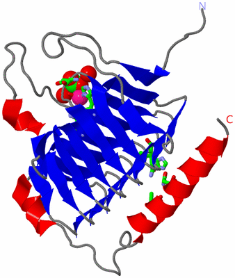 Image Asym. Unit - sites