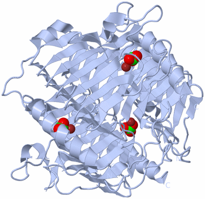 Image Biological Unit 1