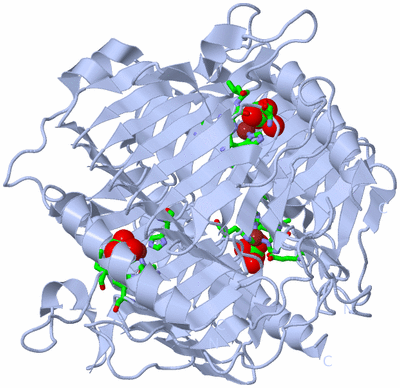 Image Biol. Unit 1 - sites