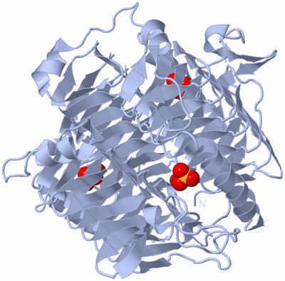 Image Biological Unit 1