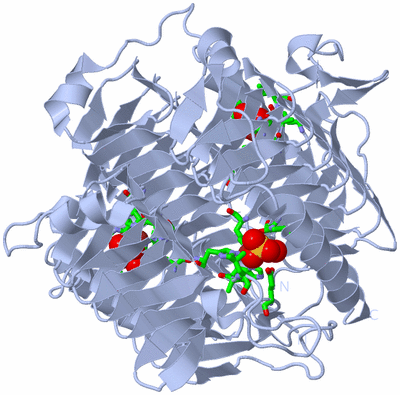 Image Biol. Unit 1 - sites