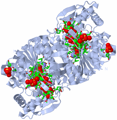 Image Biol. Unit 1 - sites