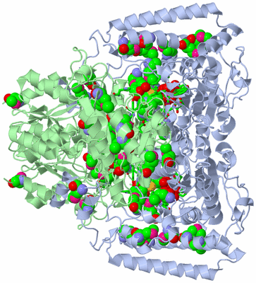 Image Biol. Unit 1 - sites