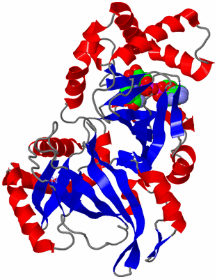 Image Asym./Biol. Unit