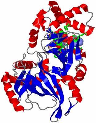 Image Asym./Biol. Unit - sites