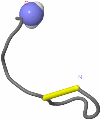 Image NMR Structure - model 1