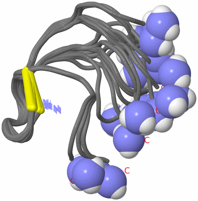 Image NMR Structure - all models