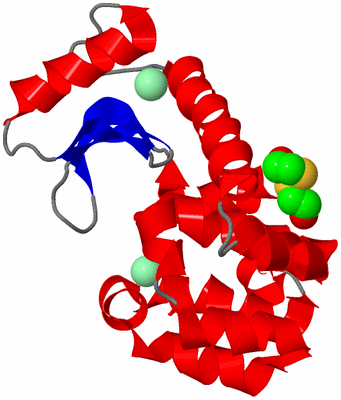 Image Asym./Biol. Unit