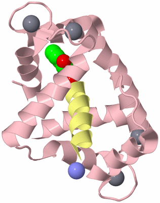 Image Biological Unit 2