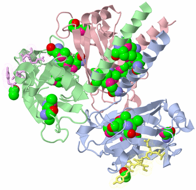 Image Asym./Biol. Unit