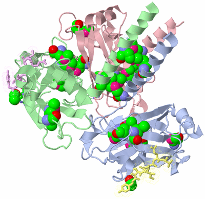 Image Asym./Biol. Unit - sites