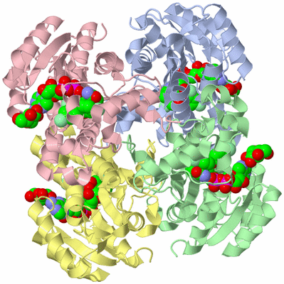 Image Biological Unit 1