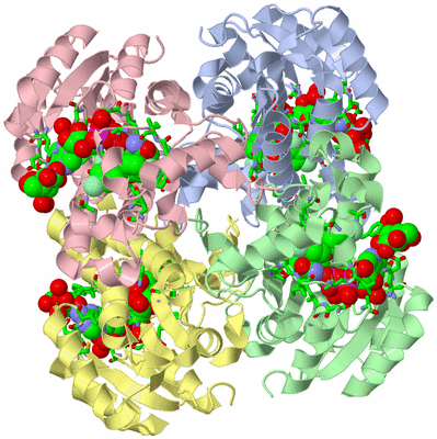 Image Biol. Unit 1 - sites